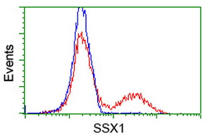 HEK293T cells transfected with either overexpress plasmid (Red) or empty vector control plasmid (Blue) were immunostained by anti-SSX1 antibody, and then analyzed by flow cytometry.
