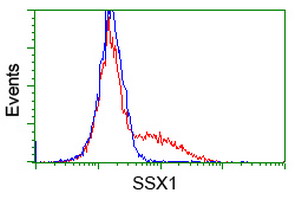 HEK293T cells transfected with either overexpress plasmid (Red) or empty vector control plasmid (Blue) were immunostained by anti-SSX1 antibody, and then analyzed by flow cytometry.