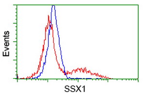 HEK293T cells transfected with either overexpress plasmid (Red) or empty vector control plasmid (Blue) were immunostained by anti-SSX1 antibody, and then analyzed by flow cytometry.