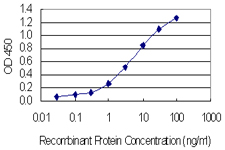 Detection limit for recombinant GST tagged SSX4 is 0.03 ng/ml as a capture antibody.