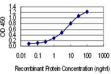 Detection limit for recombinant GST tagged SSX4 is 0.1 ng/ml as a capture antibody.