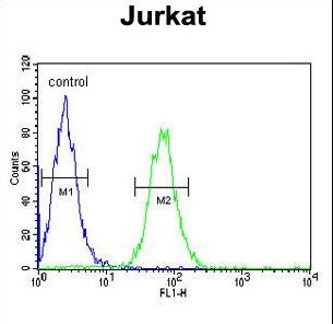 PTPN11 Antibody flow cytometry of Jurkat cells (right histogram) compared to a negative control cell (left histogram). FITC-conjugated goat-anti-rabbit secondary antibodies were used for the analysis.