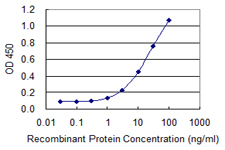 Detection limit for recombinant GST tagged ST13 is 0.3 ng/ml as a capture antibody.
