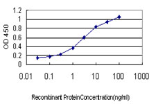 Detection limit for recombinant GST tagged ST3GAL2 is approximately 0.03 ng/ml as a capture antibody.