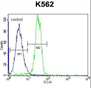 STARD6 Antibody flow cytometry of K562 cells (right histogram) compared to a negative control cell (left histogram). FITC-conjugated goat-anti-rabbit secondary antibodies were used for the analysis.