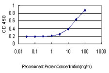 Detection limit for recombinant GST tagged STAU1 is approximately 1 ng/ml as a capture antibody.