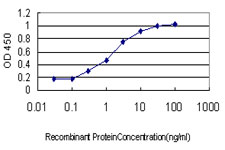 Detection limit for recombinant GST tagged STK4 is approximately 0.03 ng/ml as a capture antibody.