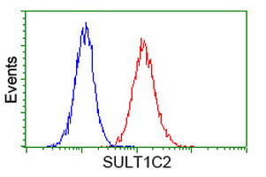 Flow cytometry of Jurkat cells, using anti-SULT1C2 antibody (Red), compared to a nonspecific negative control antibody (Blue).