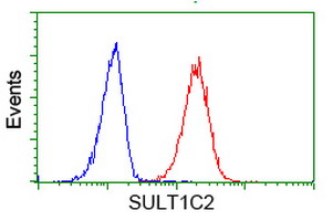 Flow cytometry of HeLa cells, using anti-SULT1C2 antibody (Red), compared to a nonspecific negative control antibody (Blue).