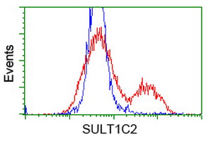 HEK293T cells transfected with either overexpress plasmid (Red) or empty vector control plasmid (Blue) were immunostained by anti-SULT1C2 antibody, and then analyzed by flow cytometry.
