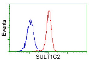 Flow cytometry of Jurkat cells, using anti-SULT1C2 antibody (Red), compared to a nonspecific negative control antibody (Blue).