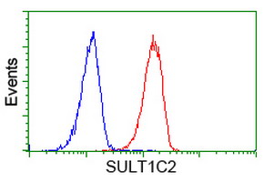 Flow cytometry of HeLa cells, using anti-SULT1C2 antibody (Red), compared to a nonspecific negative control antibody (Blue).