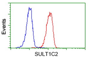 Flow cytometry of Jurkat cells, using anti-SULT1C2 antibody (Red), compared to a nonspecific negative control antibody (Blue).