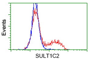 HEK293T cells transfected with either overexpress plasmid (Red) or empty vector control plasmid (Blue) were immunostained by anti-SULT1C2 antibody, and then analyzed by flow cytometry.