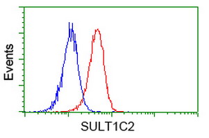 Flow cytometry of Jurkat cells, using anti-SULT1C2 antibody (Red), compared to a nonspecific negative control antibody (Blue).