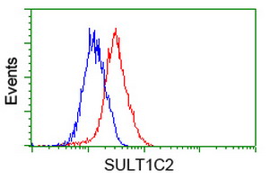 Flow cytometry of HeLa cells, using anti-SULT1C2 antibody (Red), compared to a nonspecific negative control antibody (Blue).