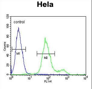 SUMF1 Antibody flow cytometry of HeLa cells (right histogram) compared to a negative control cell (left histogram). FITC-conjugated goat-anti-rabbit secondary antibodies were used for the analysis.