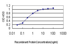 Detection limit for recombinant GST tagged SYMPK is approximately 0.03 ng/ml as a capture antibody.