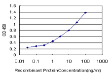 Detection limit for recombinant GST tagged SYT4 is approximately 0.03 ng/ml as a capture antibody.
