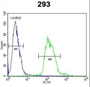 TAC1 Antibody flow cytometry of 293 cells (right histogram) compared to a negative control cell (left histogram). FITC-conjugated goat-anti-rabbit secondary antibodies were used for the analysis.