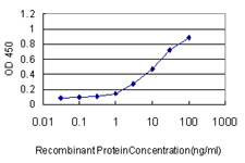 Detection limit for recombinant GST tagged TAF1 is approximately 0.1 ng/ml as a capture antibody.
