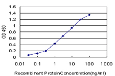 Detection limit for recombinant GST tagged TAF11 is approximately 0.1 ng/ml as a capture antibody.