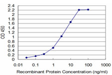 Detection limit for recombinant GST tagged TAF11 is approximately 0.1 ng/ml as a capture antibody.