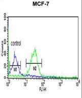 TAF2 Antibody flow cytometry of MCF-7 cells (right histogram) compared to a negative control cell (left histogram). FITC-conjugated goat-anti-rabbit secondary antibodies were used for the analysis.