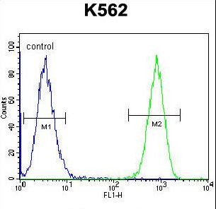 TAF4B Antibody flow cytometry of K562 cells (right histogram) compared to a negative control cell (left histogram). FITC-conjugated goat-anti-rabbit secondary antibodies were used for the analysis.