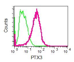 Flow cytometry of permeabilized HUVEC cells using anti-PTX3 antibody (red)or a rabbit IgG (negative) (green).