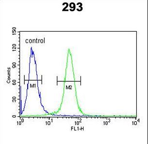 TARSL2 Antibody flow cytometry of 293 cells (right histogram) compared to a negative control cell (left histogram). FITC-conjugated goat-anti-rabbit secondary antibodies were used for the analysis.