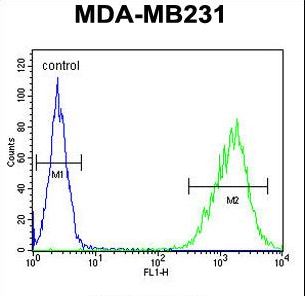 TAZ Antibody flow cytometry of MDA-MB231 cells (right histogram) compared to a negative control cell (left histogram). FITC-conjugated goat-anti-rabbit secondary antibodies were used for the analysis.