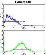 Flow cytometric of HepG2 cells using PUM2 Antibody (S182)(bottom histogram) compared to a negative control cell (top histogram). FITC-conjugated goat-anti-rabbit secondary antibodies were used for the analysis.