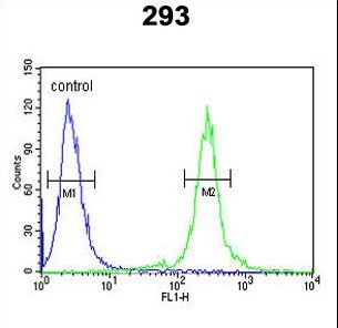 TCERG1L Antibody flow cytometry of 293 cells (right histogram) compared to a negative control cell (left histogram). FITC-conjugated goat-anti-rabbit secondary antibodies were used for the analysis.