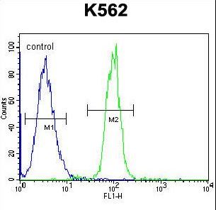 TCF21 Antibody flow cytometry of K562 cells (right histogram) compared to a negative control cell (left histogram). FITC-conjugated goat-anti-rabbit secondary antibodies were used for the analysis.