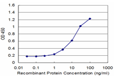 Detection limit for recombinant GST tagged PURA is approximately 1 ng/ml as a capture antibody.