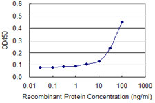 Detection limit for recombinant GST tagged PURA is approximately 10 ng/ml as a capture antibody.