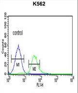 TCF4 Antibody flow cytometry of K562 cells (right histogram) compared to a negative control cell (left histogram). FITC-conjugated goat-anti-rabbit secondary antibodies were used for the analysis.
