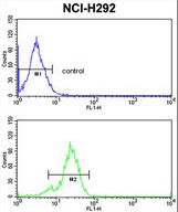 TDG Antibody flow cytometry of NCI-H292 cells (bottom histogram) compared to a negative control cell (top histogram). FITC-conjugated goat-anti-rabbit secondary antibodies were used for the analysis.