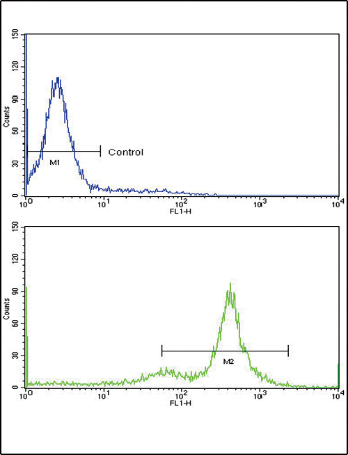 Flow cytometric of K562 cells using TDG Antibody (bottom histogram) compared to a negative control cell (top histogram)FITC-conjugated goat-anti-rabbit secondary antibodies were used for the analysis.