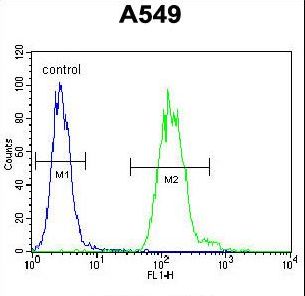 EAPII Antibody flow cytometry of A549 cells (right histogram) compared to a negative control cell (left histogram). FITC-conjugated goat-anti-rabbit secondary antibodies were used for the analysis.