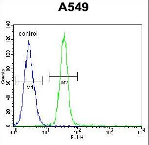 TDRD7 Antibody flow cytometry of A549 cells (right histogram) compared to a negative control cell (left histogram). FITC-conjugated goat-anti-rabbit secondary antibodies were used for the analysis.