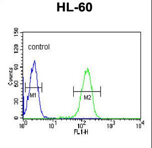 PLVAP Antibody flow cytometry of HL-60 cells (right histogram) compared to a negative control cell (left histogram). FITC-conjugated goat-anti-rabbit secondary antibodies were used for the analysis.