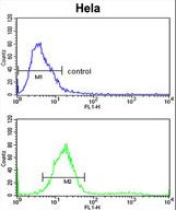 TECPR1 Antibody flow cytometry of HeLa cells (bottom histogram) compared to a negative control cell (top histogram). FITC-conjugated goat-anti-rabbit secondary antibodies were used for the analysis.
