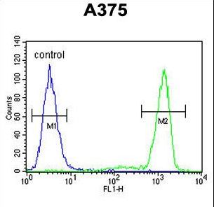 PALA Antibody flow cytometry of A375 cells (right histogram) compared to a negative control cell (left histogram). FITC-conjugated goat-anti-rabbit secondary antibodies were used for the analysis.