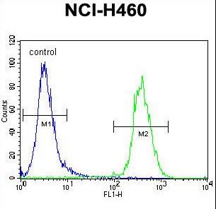 SRD5A2L2 Antibody flow cytometry of NCI-H460 cells (right histogram) compared to a negative control cell (left histogram). FITC-conjugated goat-anti-rabbit secondary antibodies were used for the analysis.