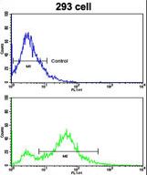 Flow cytometric of 293 cells using CD248 Antibody (bottom histogram) compared to a negative control cell (top histogram). FITC-conjugated goat-anti-rabbit secondary antibodies were used for the analysis.