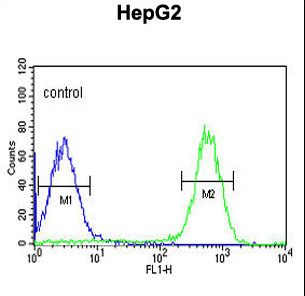 TESC Antibody flow cytometry of HepG2 cells (right histogram) compared to a negative control cell (left histogram). FITC-conjugated goat-anti-rabbit secondary antibodies were used for the analysis.