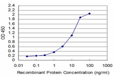 Detection limit for recombinant GST tagged TESK2 is approximately 0.1 ng/ml as a capture antibody.