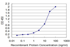 Detection limit for recombinant GST tagged TESK2 is approximately 0.1 ng/ml as a capture antibody.